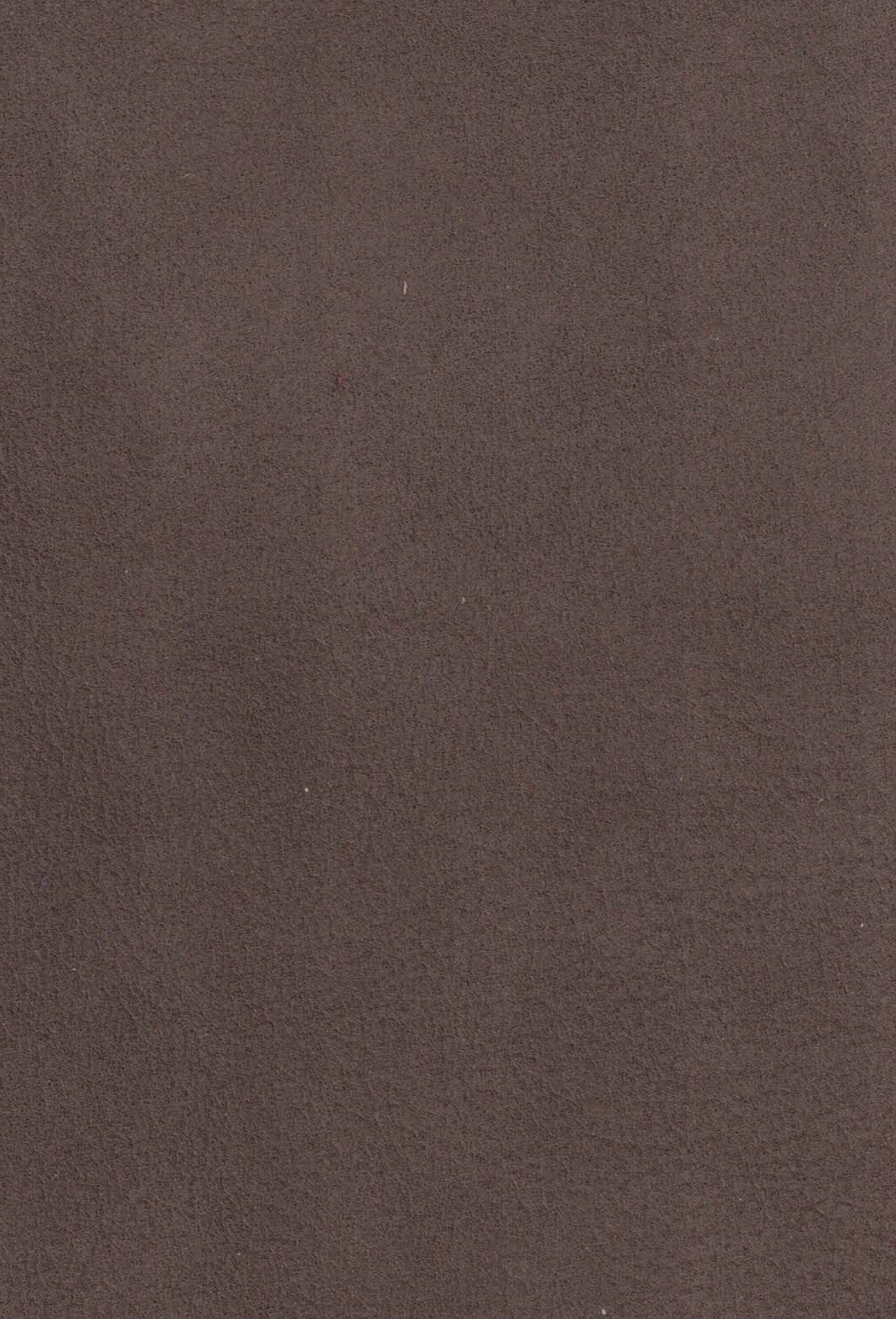Byron 4002 stone