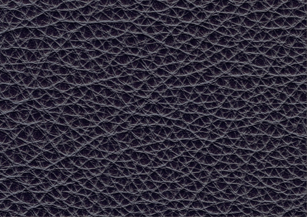 Nirvana 1519 aubergine