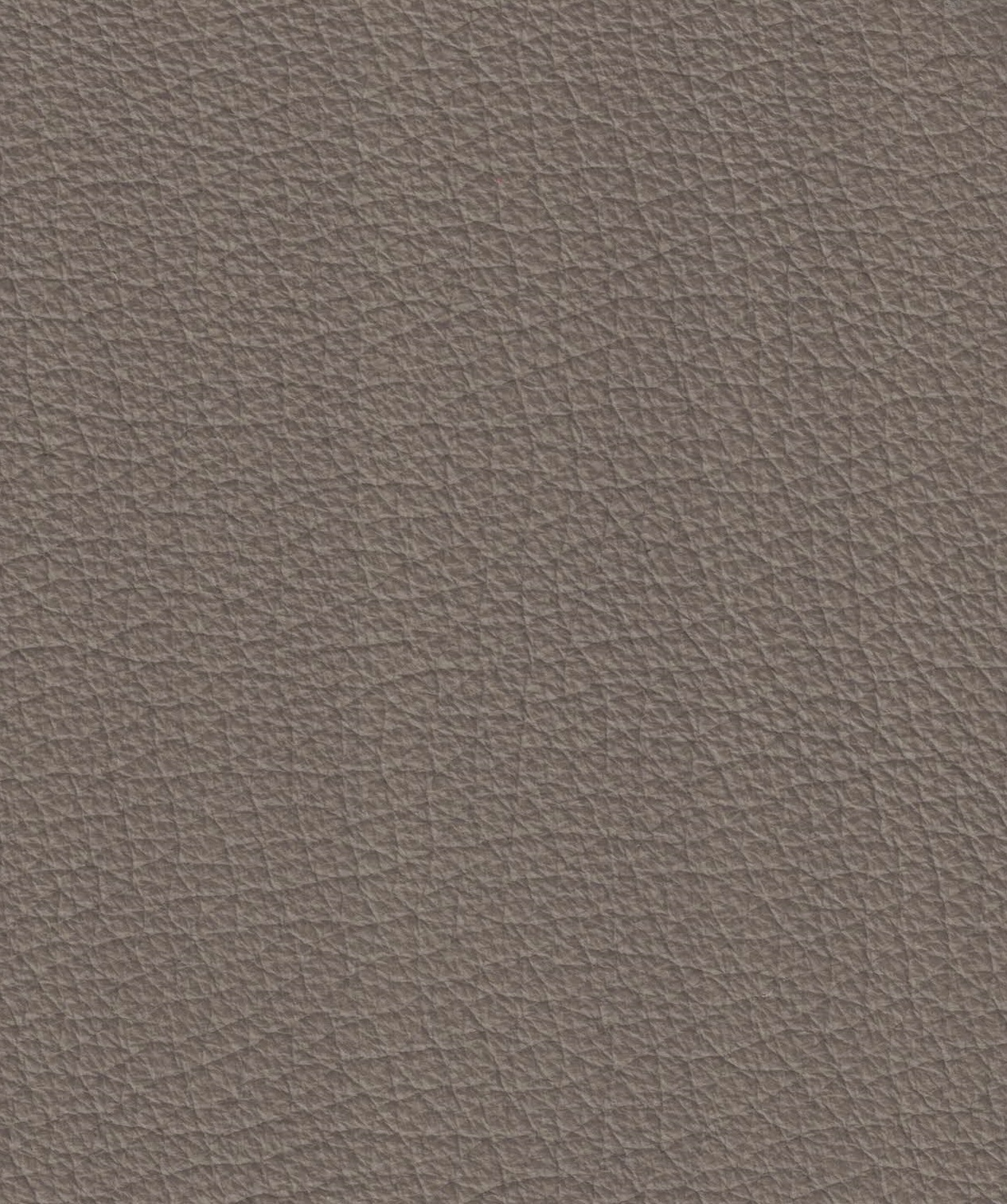 Emotion 1584 taupe scuro
