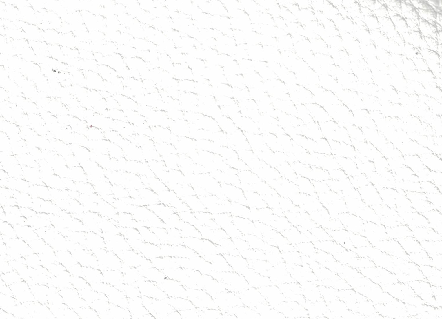 Emotion 1581 bianco neve