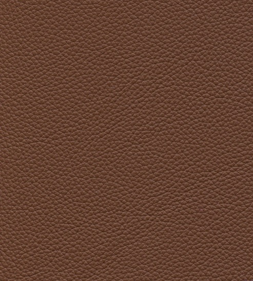 Suave 1527 lion