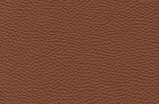 Bull 363 cognac