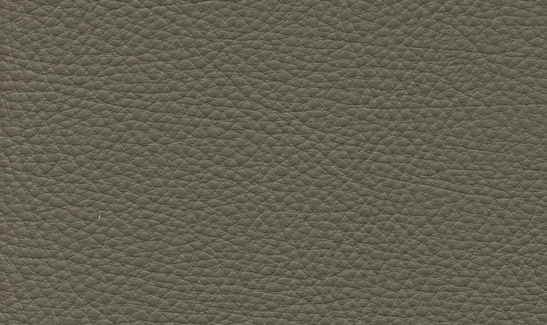 Suave 1519 visone