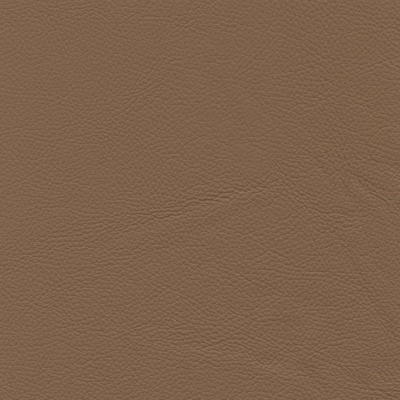 Bull 302 nocciola