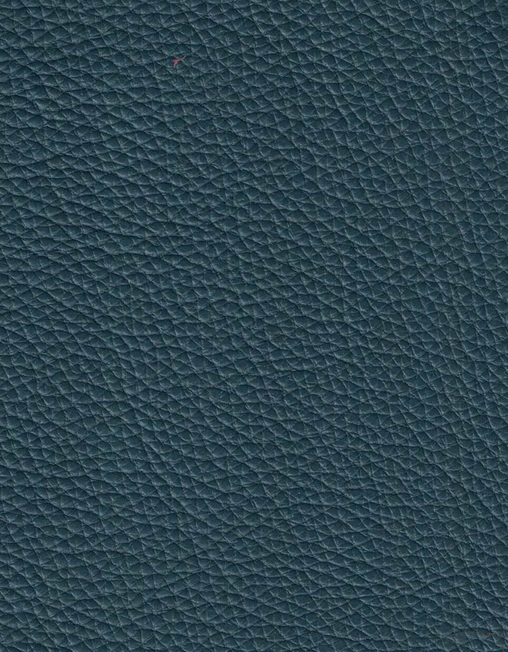 Nirvana 1596 oceano
