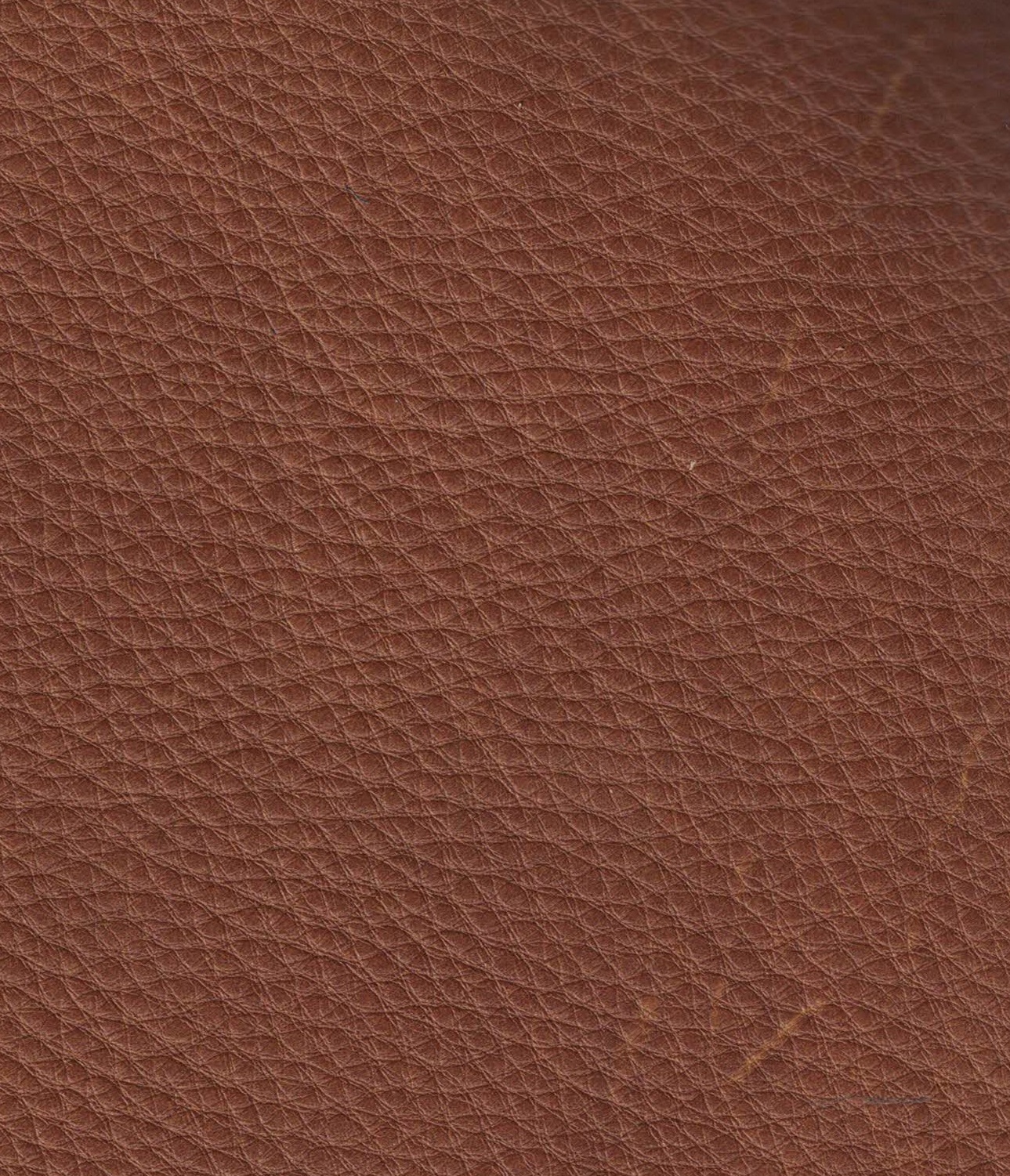 Nature 4010 cognac