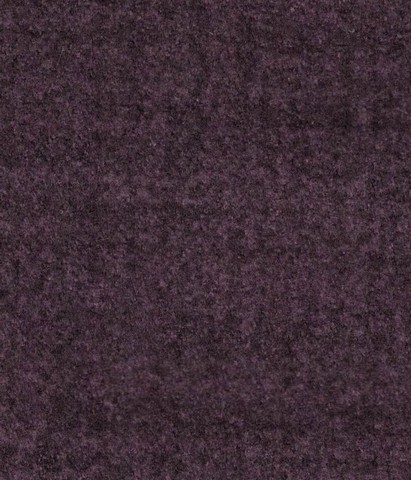 Zak 07 viola