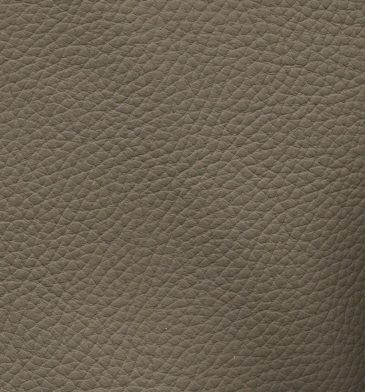 Bull 312 taupe