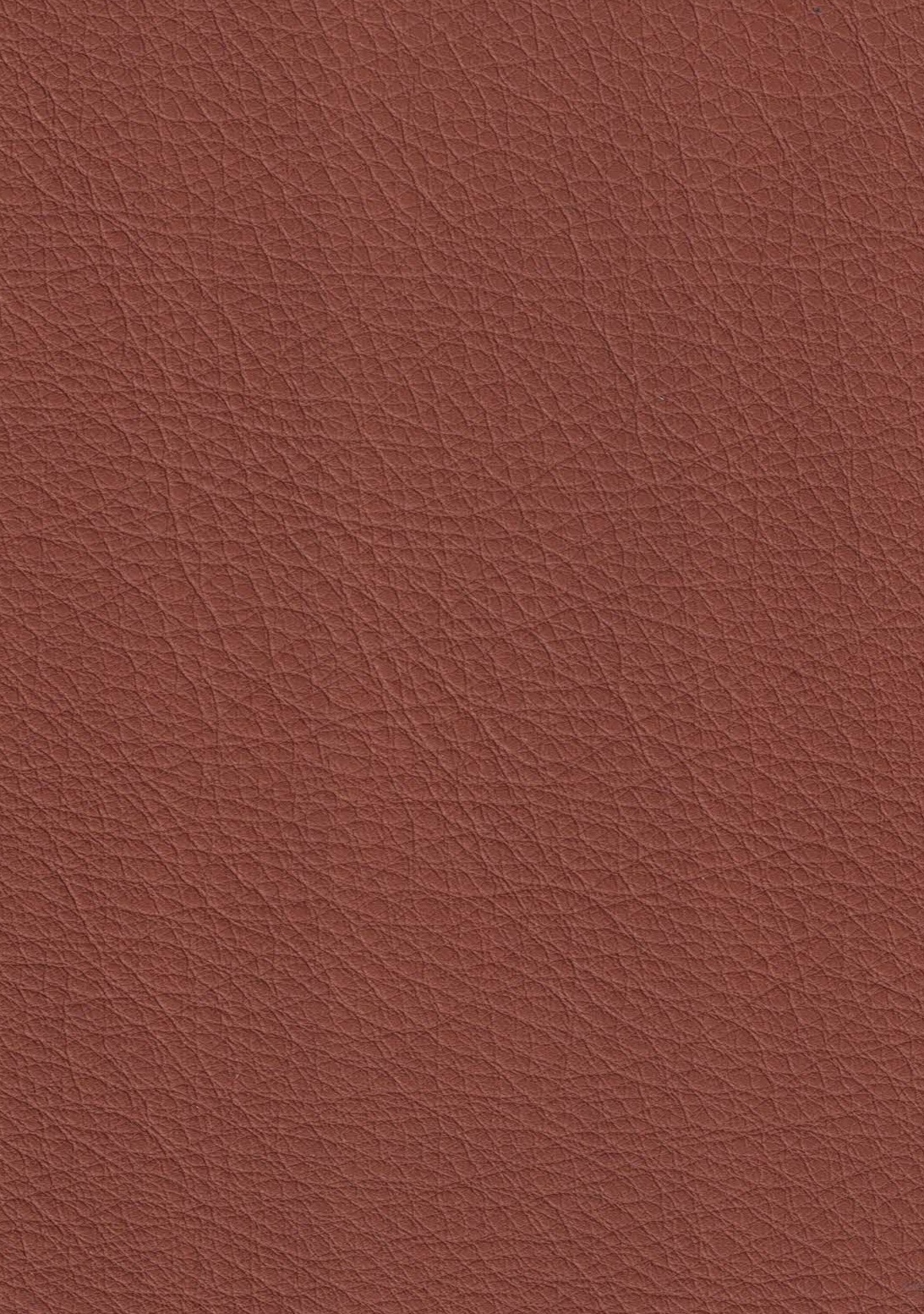 Pure 4115 cuoio scuro