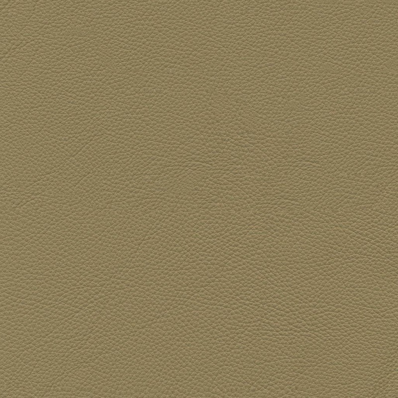 Antares 2156 crema