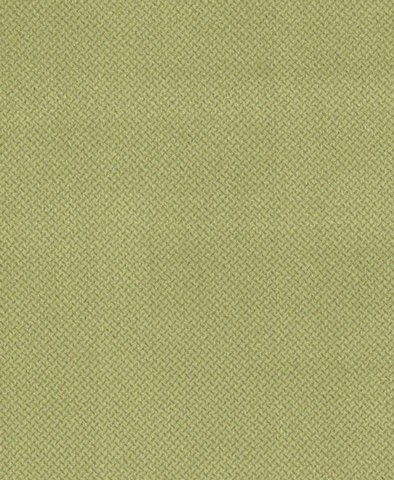 Diva 183 verde acido