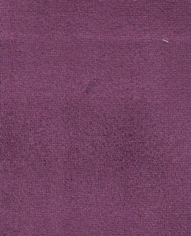 Zeph 08 viola