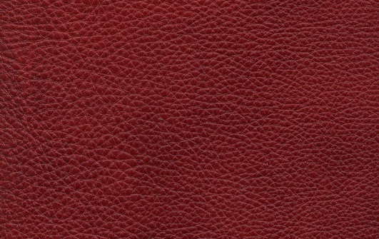 Tender 1515 barolo