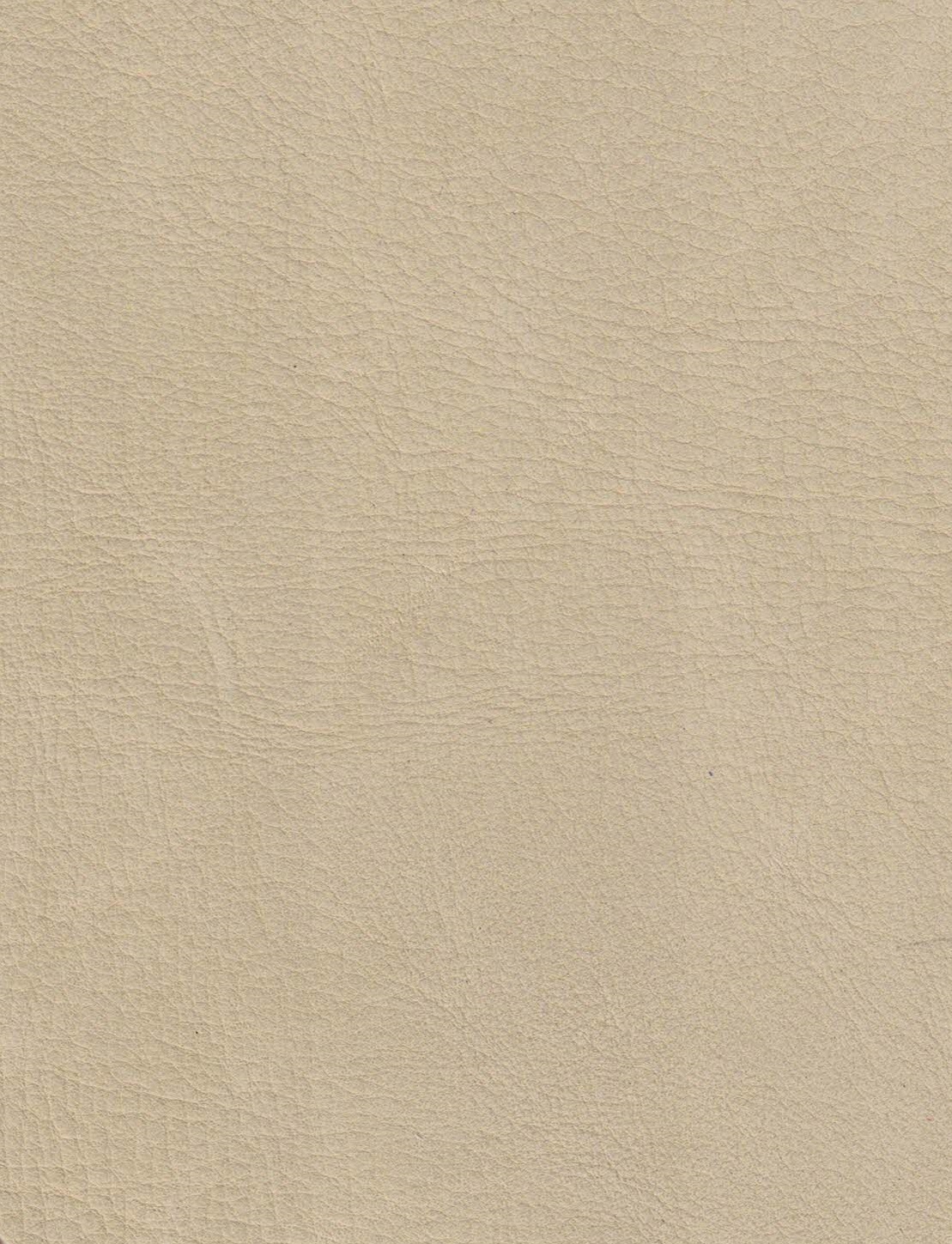 Byron 4006 taupe