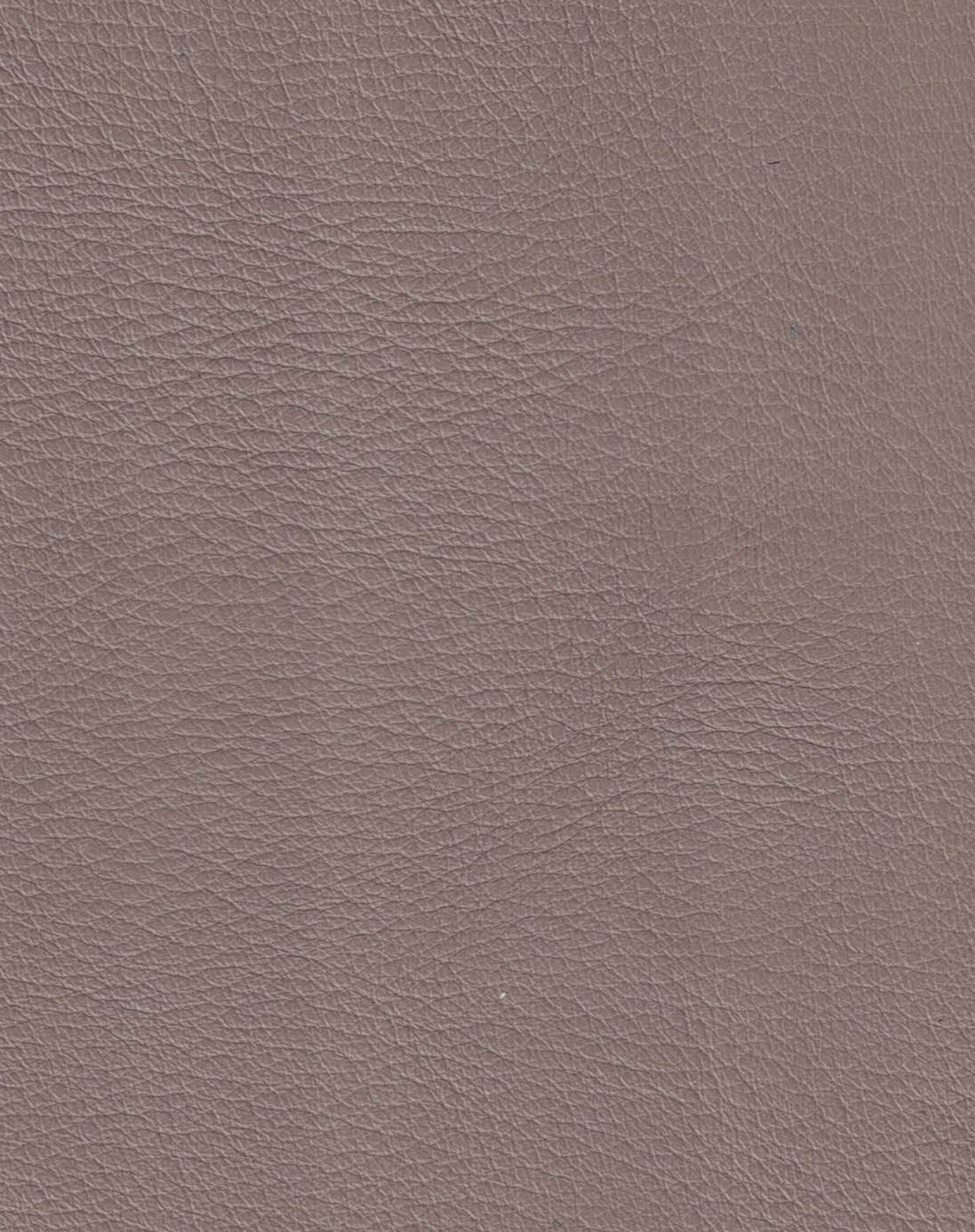 Sound 4412 taupe