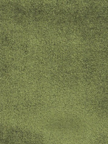 Zeph 16 verde