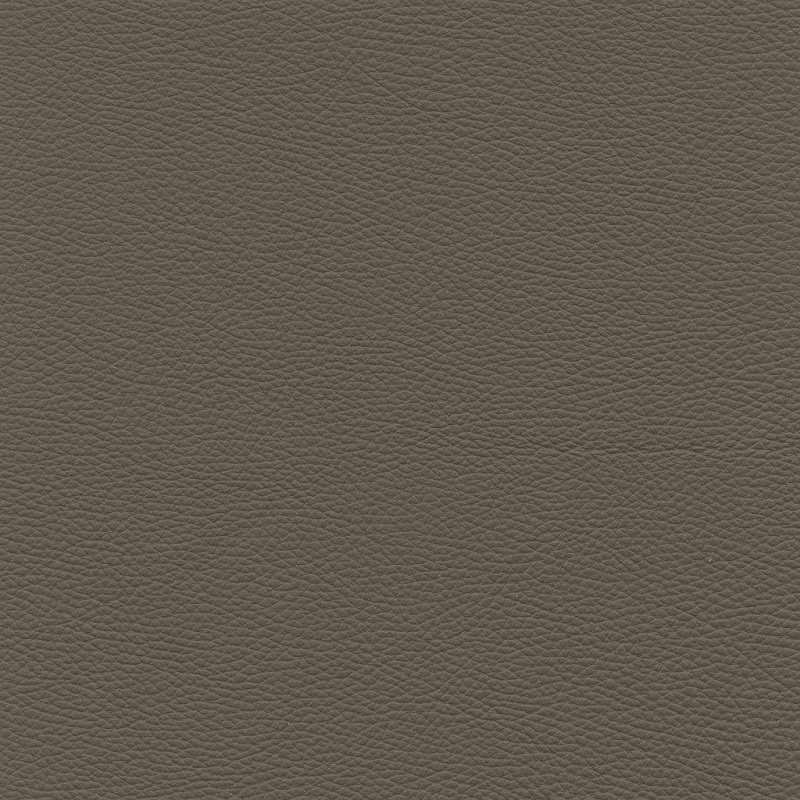 Bull 312 taupe