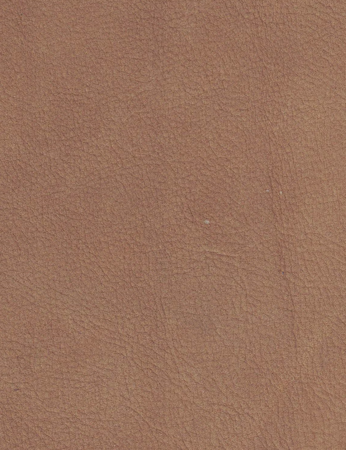 Byron 4001 caramel