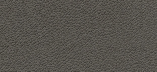 Bull 359 visone