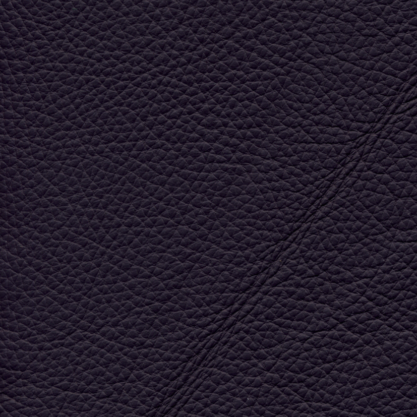Bull 351 viola