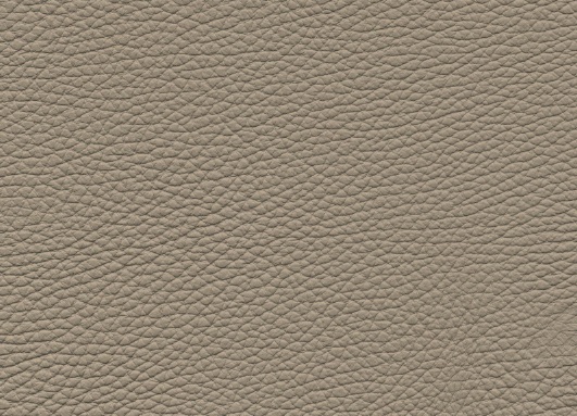 Bull 358 biscotto